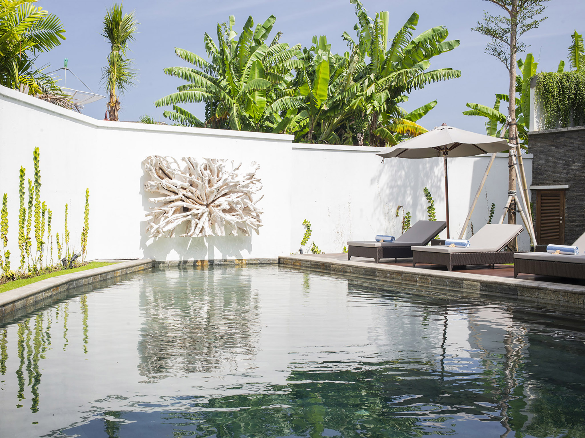 Villa Indrani - Pool - Villa Indrani, Canggu, Bali